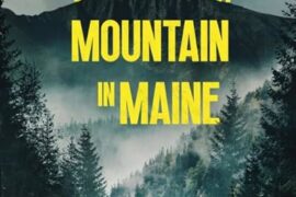 دانلود رایگان فیلم گمشده در کوهستان مین بادوبله فارسی